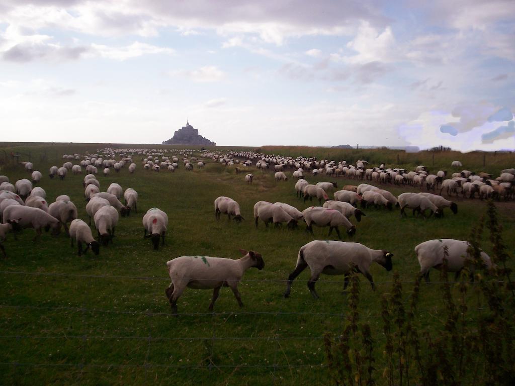 Chambres D'Hotes Farcy "La P'Tite Transhumance" Ardevon 外观 照片